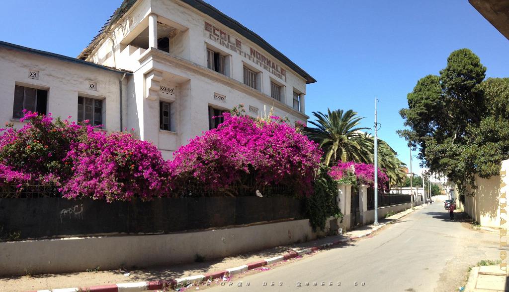 ORAN-Ecole Normale d'instituteurs .jpg
